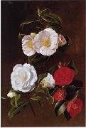unknow artist Floral, beautiful classical still life of flowers 028 Germany oil painting reproduction